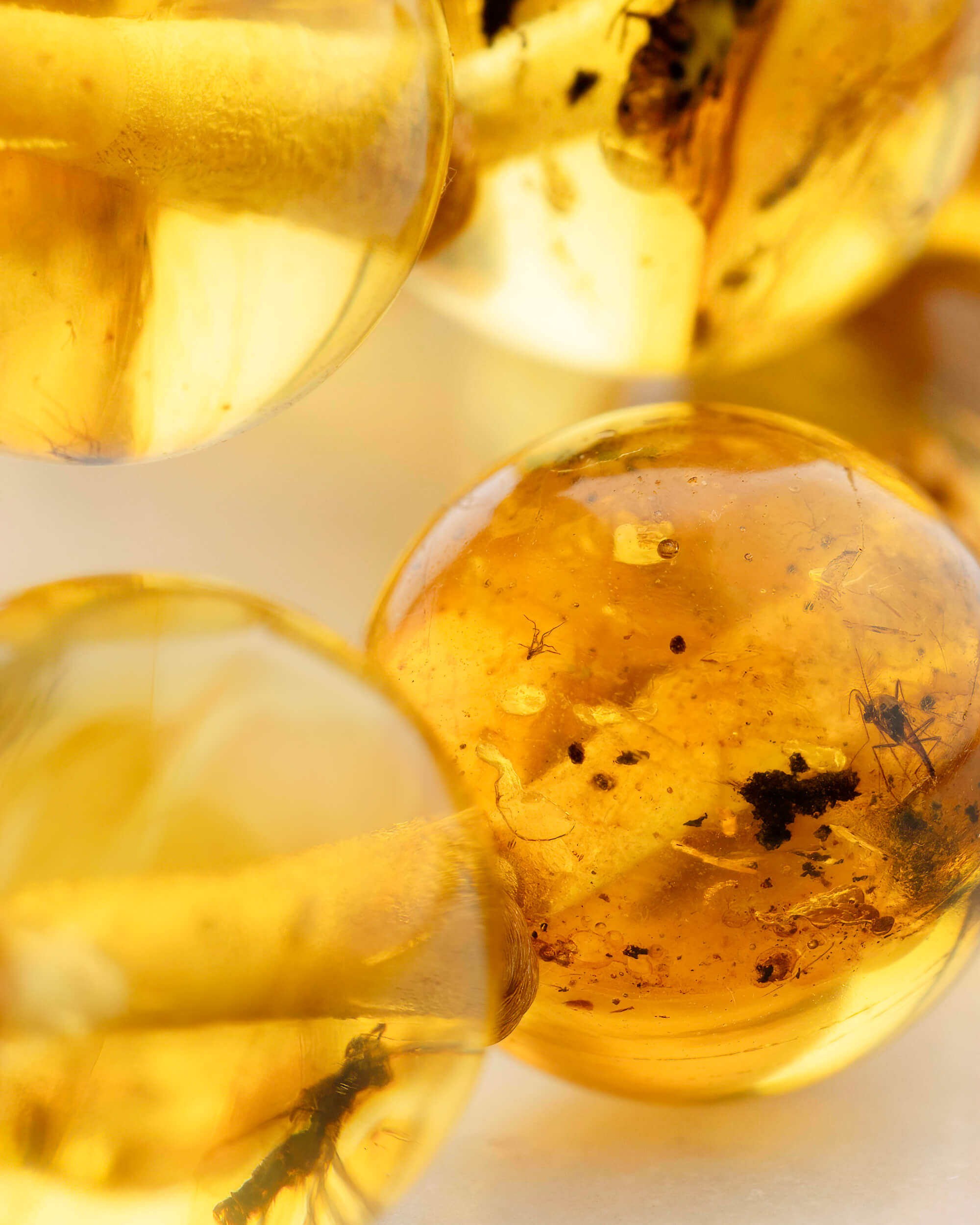 Japa Mala de Ámbar con Insectos (Pieza Única)