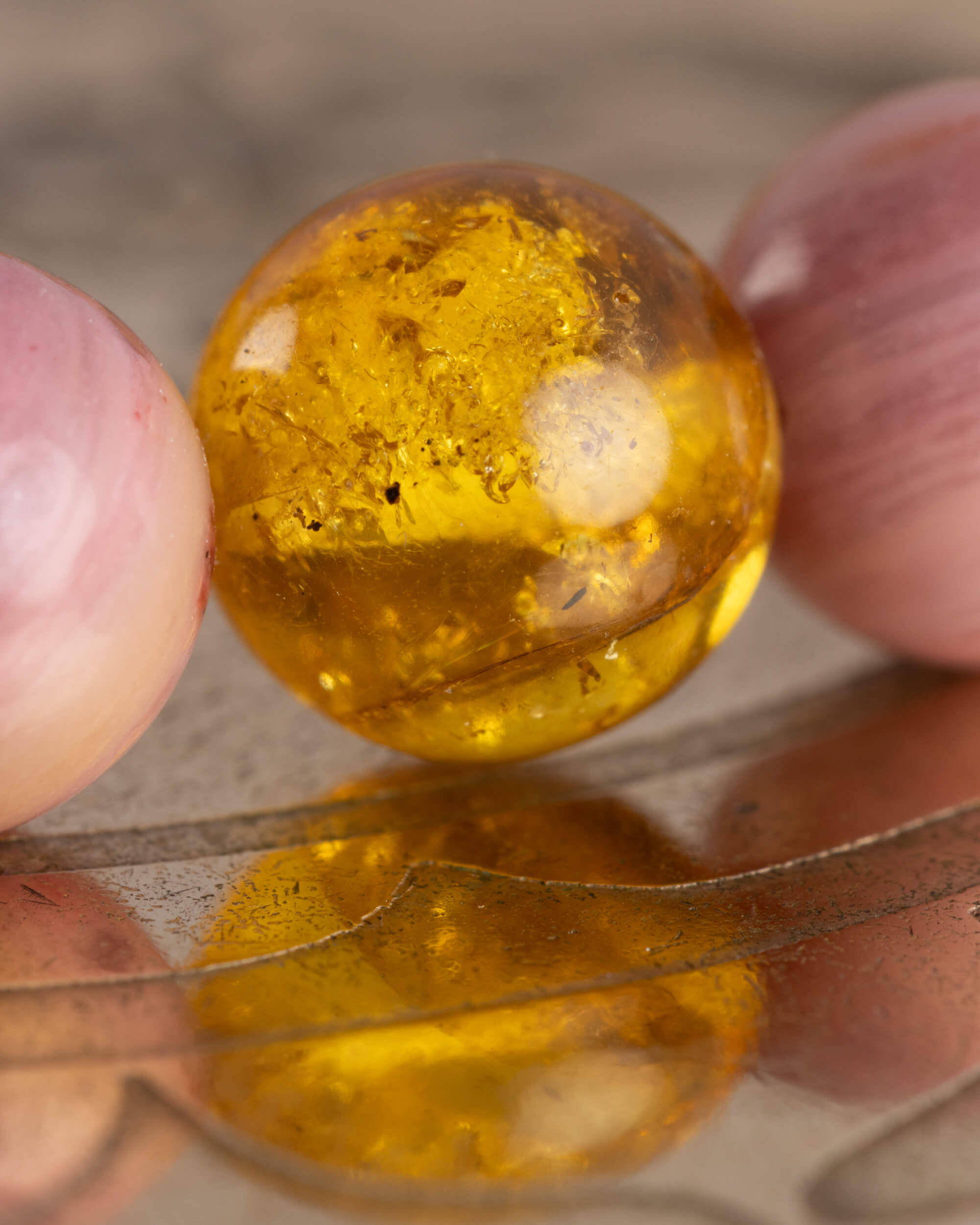 Pulsera Dazbog (Dios Solar) 8 mm - Amor Arraigado y Sanación