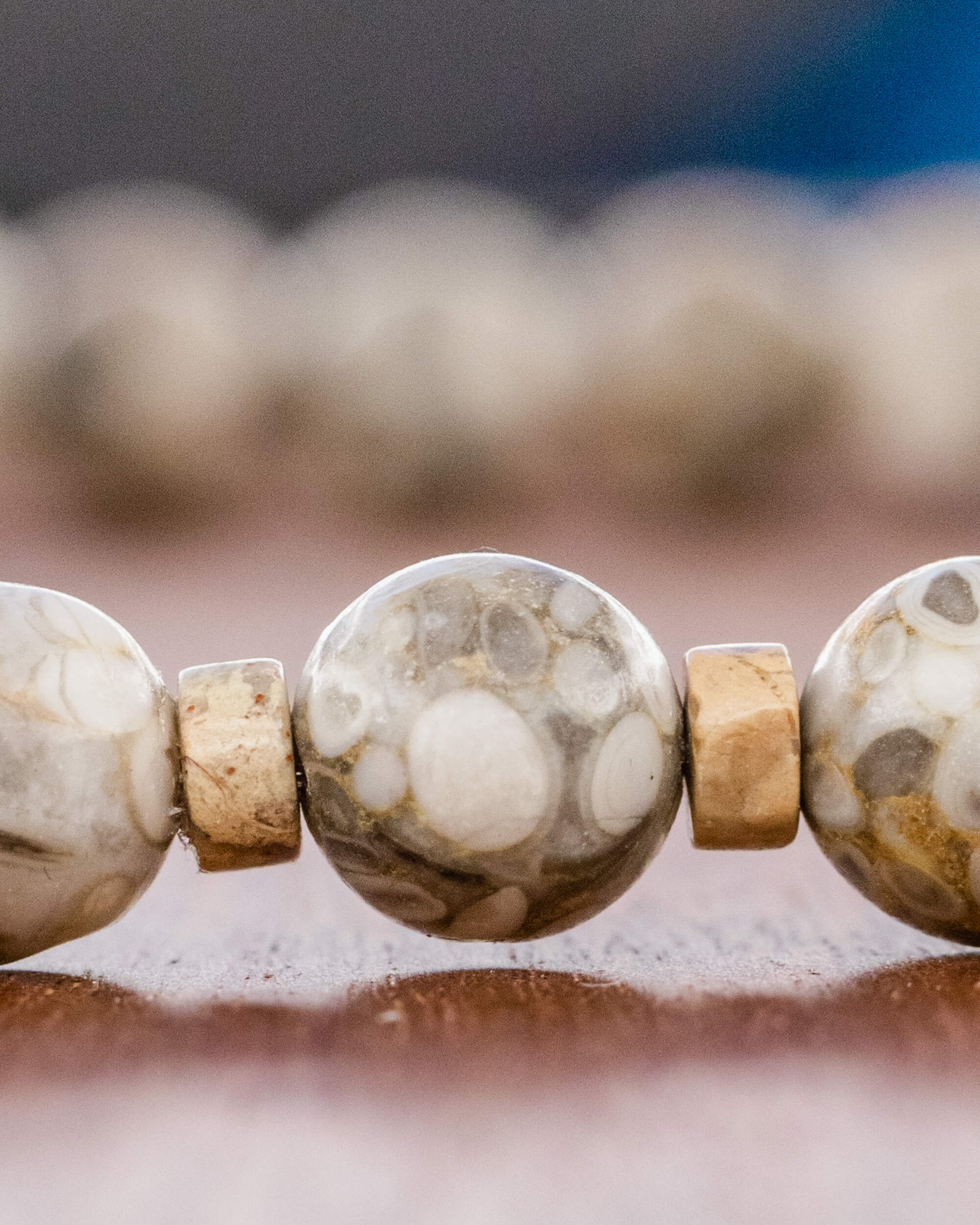 Codificador Maifanita (34 cm)