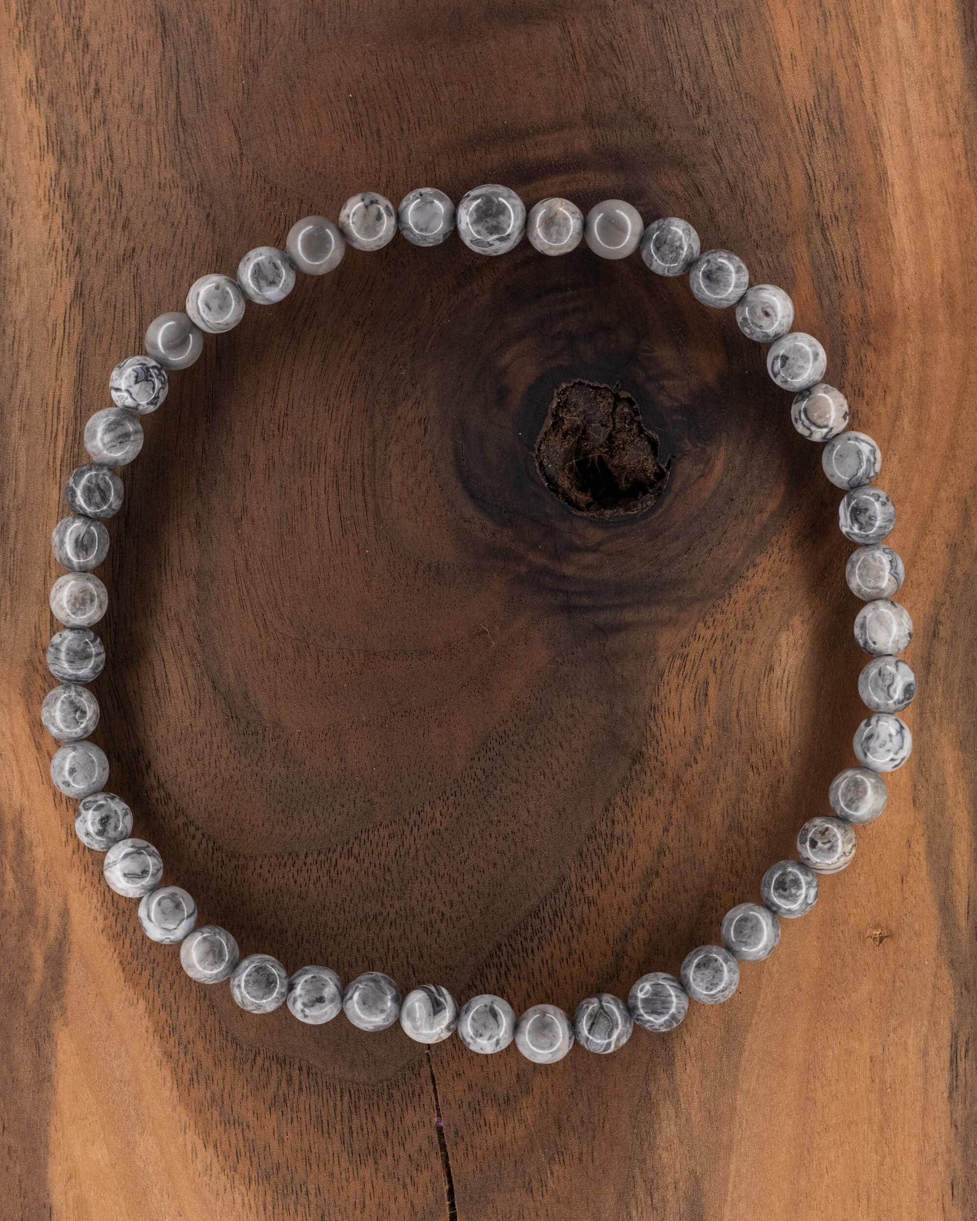 Codificador de Mano Jaspe Mapa 34 cm - Rumbo Propio y Dirección (Agesta)