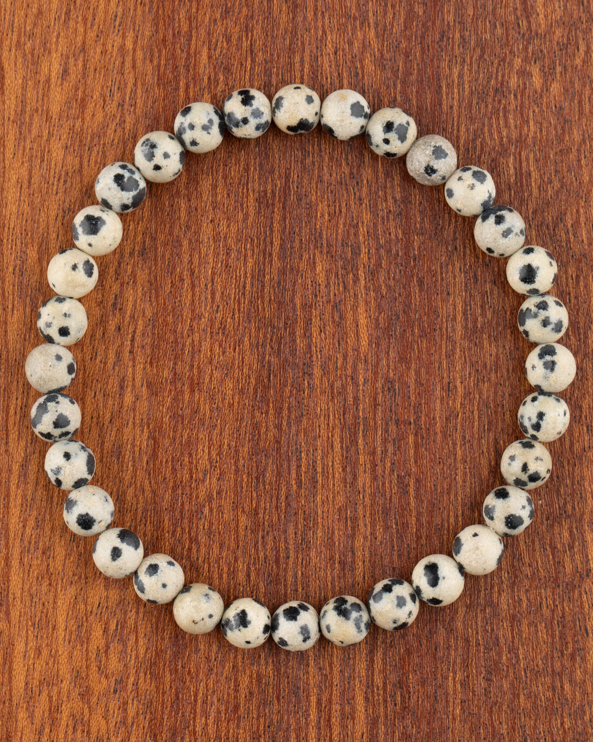 Pulsera de Jaspe Dálmata de 6 mm, pieza completa en círculo sobre madera