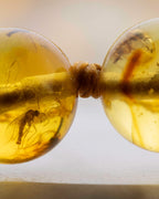 Detalle macro del nudo y dos cuentas de Ámbar con insectos fosilizados