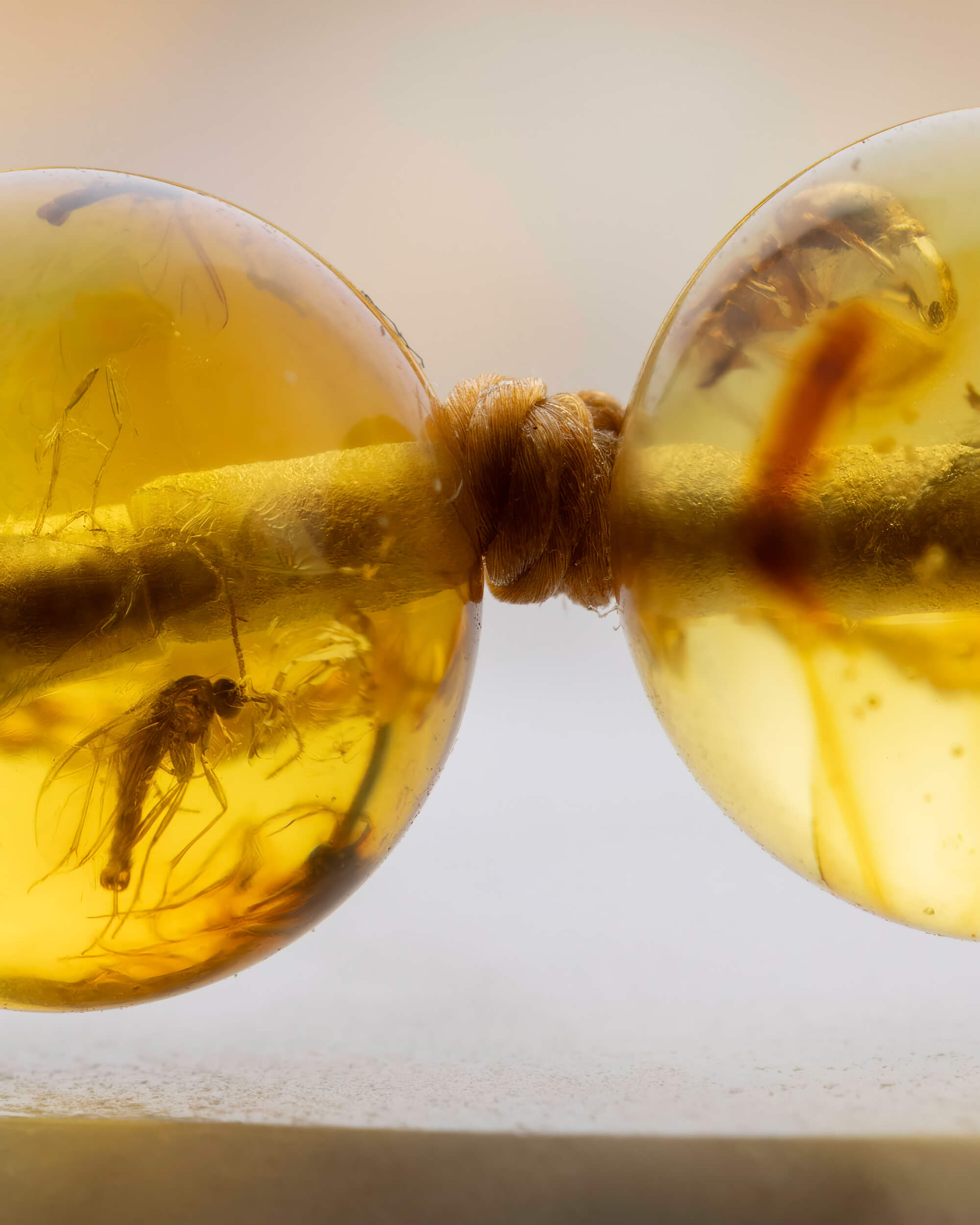 Detalle macro del nudo y dos cuentas de Ámbar con insectos fosilizados