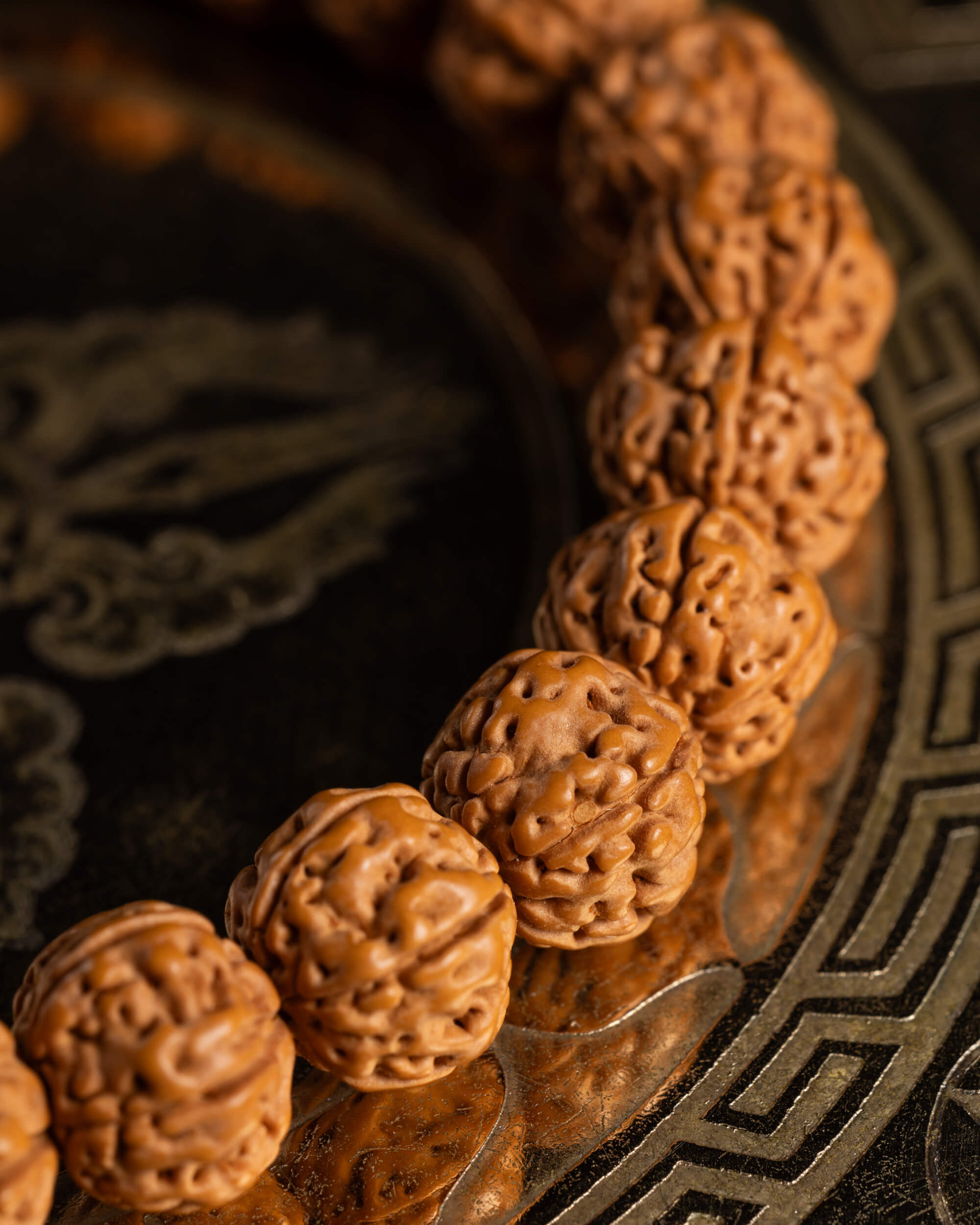 Detalle macro de las semillas de Rudraksha en fila sobre placa metálica grabada