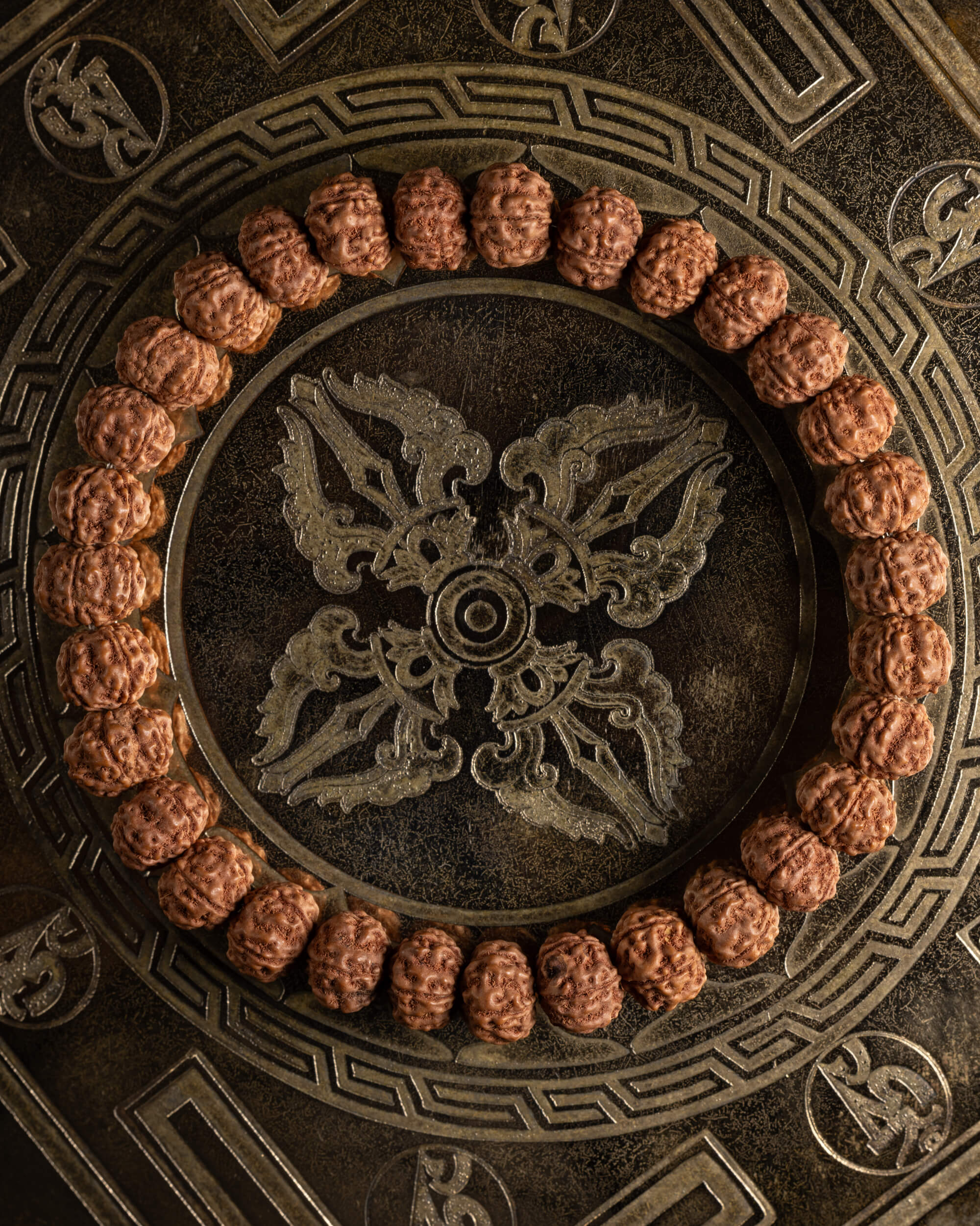 Pulsera de Semillas de Rudraksha de 8 mm, pieza completa en círculo sobre placa metálica