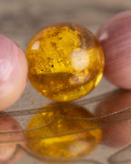 Detalle macro de una cuenta de Ámbar de la Pulsera Dazbog entre los dedos