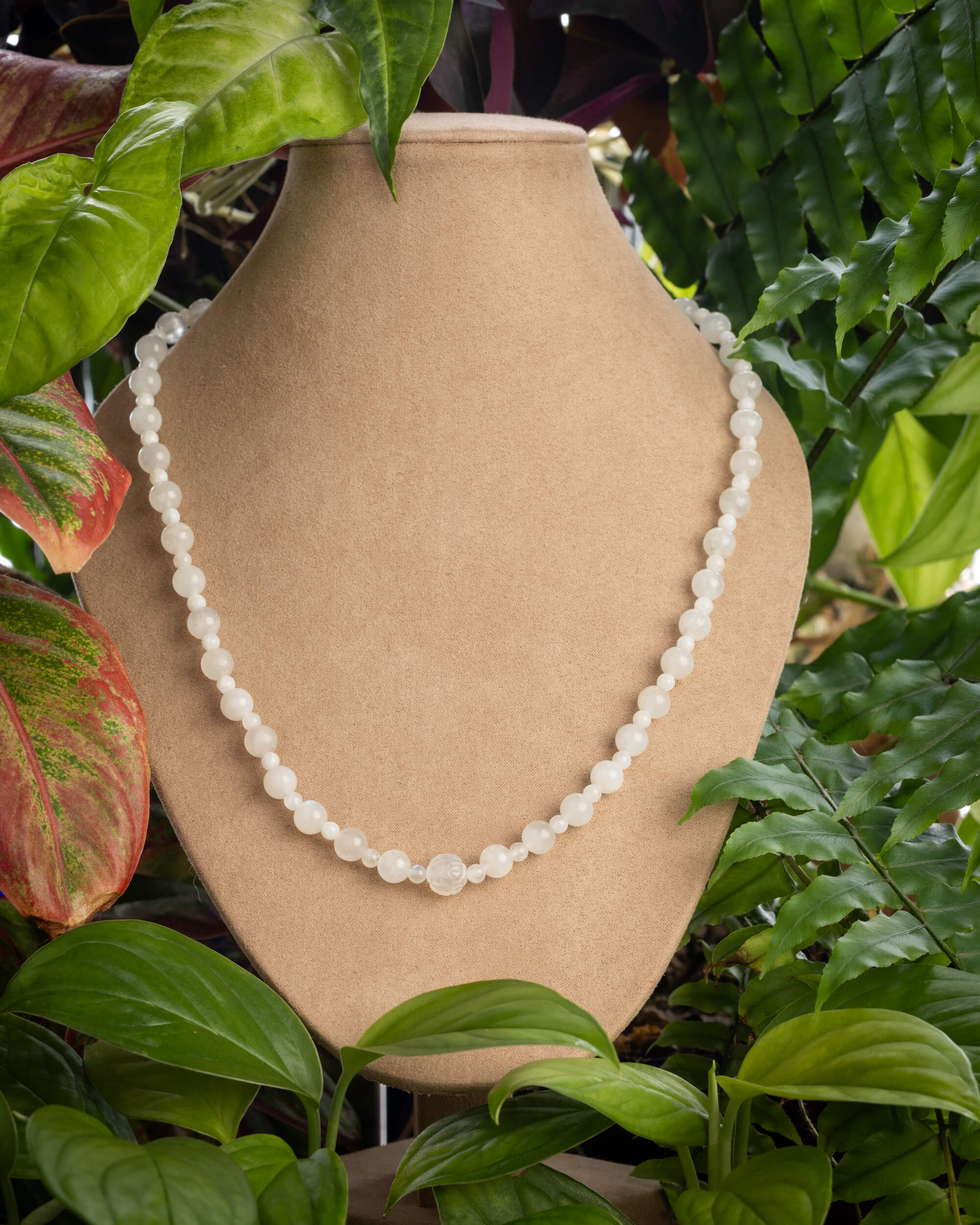 Codificador de Piedra Luna puesto, cayendo sobre el cuello entre plantas verdes
