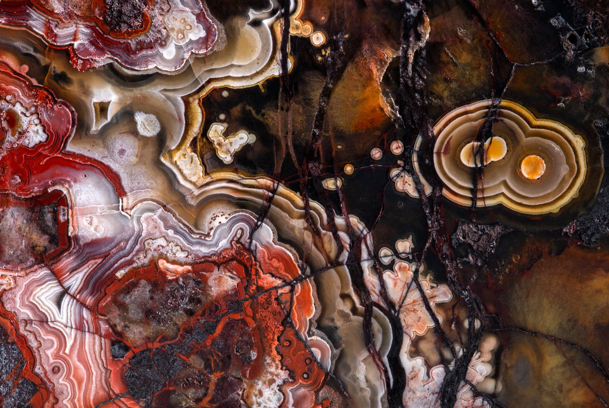 Fotografía macro de la Ágata: bandas de encaje rojas y blancas sobre fondo ámbar oscuro con dos ojos concéntricos. Serie La Disolución, cuadro 08.