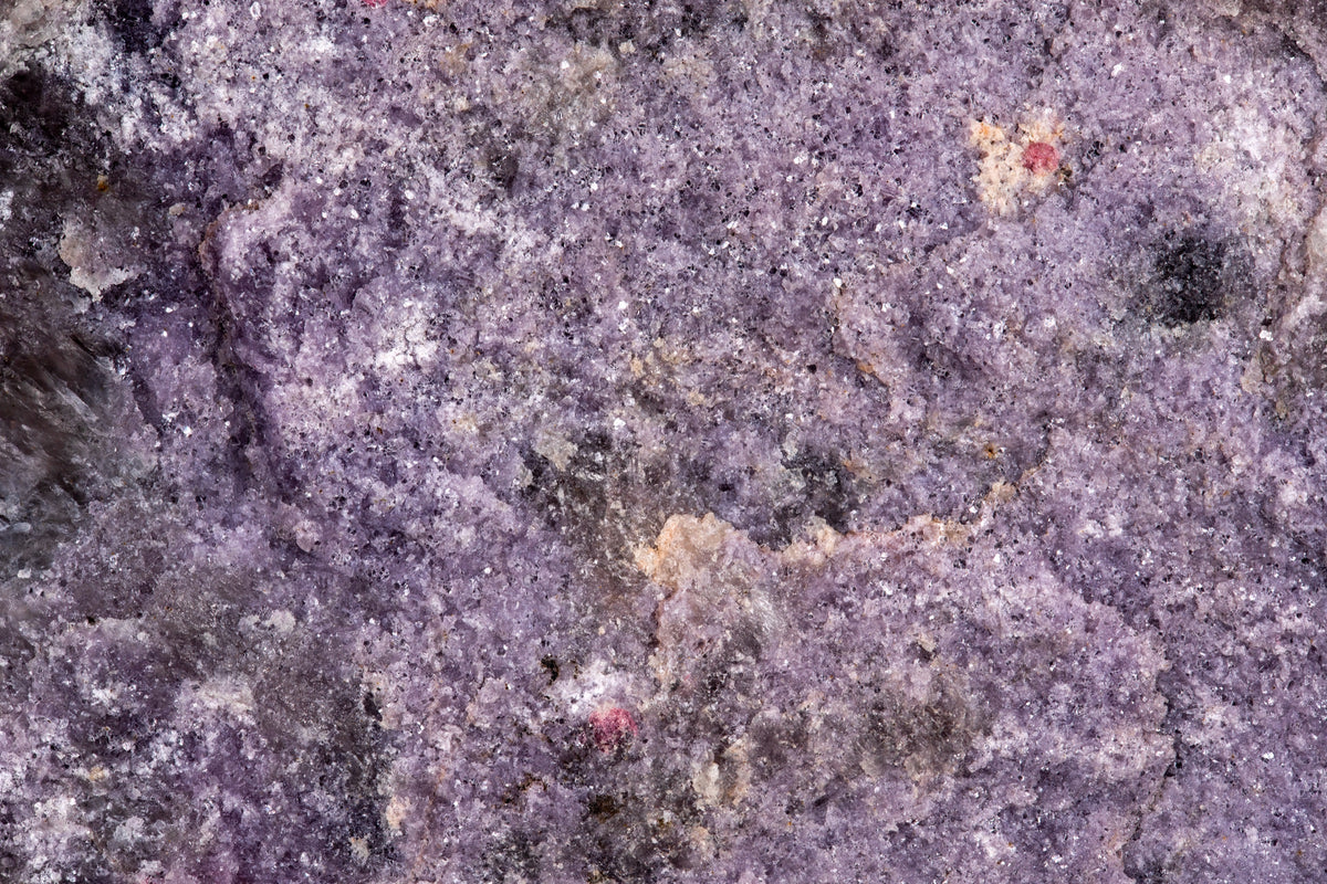Fotografía macro de la Lepidolita con Rubelita: superficie granular lila con destellos de mica y dos puntos rojos de rubelita. Serie La Disolución, cuadro 18.