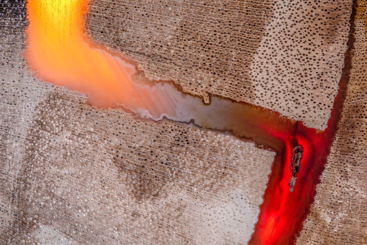 Fotografía macro de la Madera Petrificada: un corte poroso en beige atravesado por una veta de ágata naranja y roja. Serie La Disolución, cuadro 02.