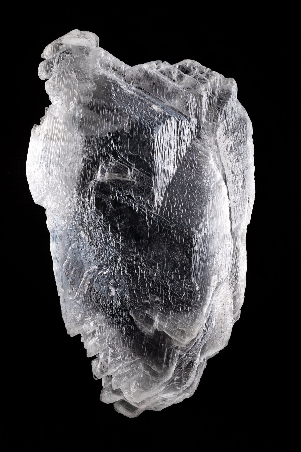 Fotografía macro de un corazón de Selenita: cristal traslúcido con estrías verticales, entero sobre fondo negro