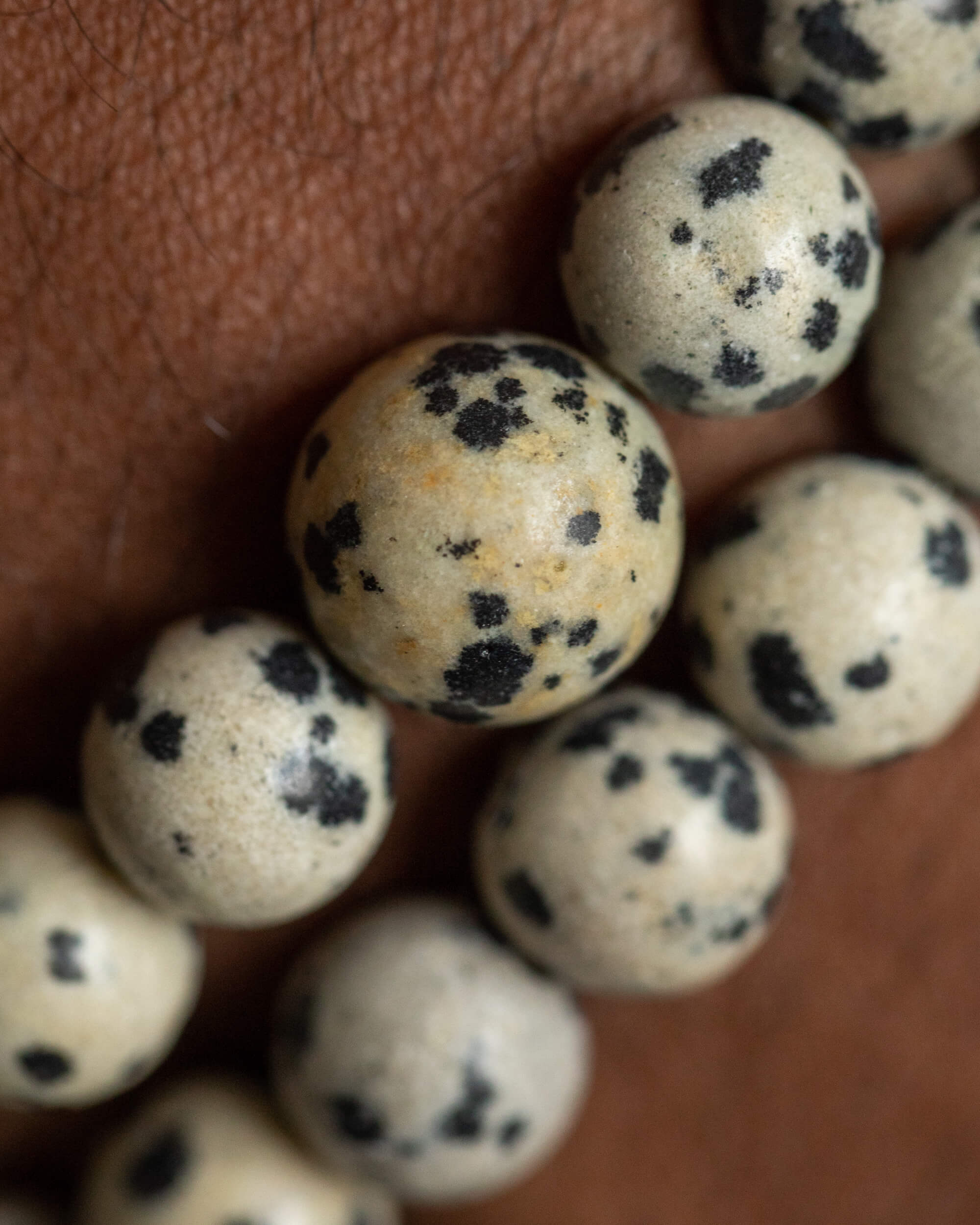 Detalle macro de las cuentas de Jaspe Dálmata con sus manchas negras características